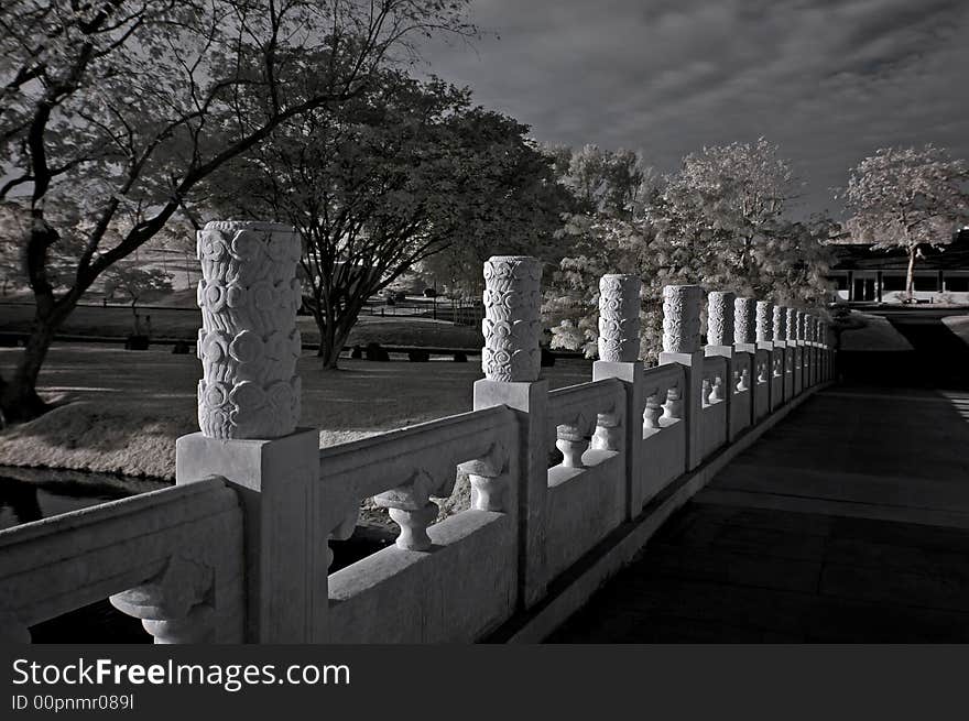 Infrared photo – tree, skies and bridge