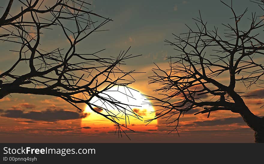 Tree silhouettes  at sunset - 3d scene. Tree silhouettes  at sunset - 3d scene.