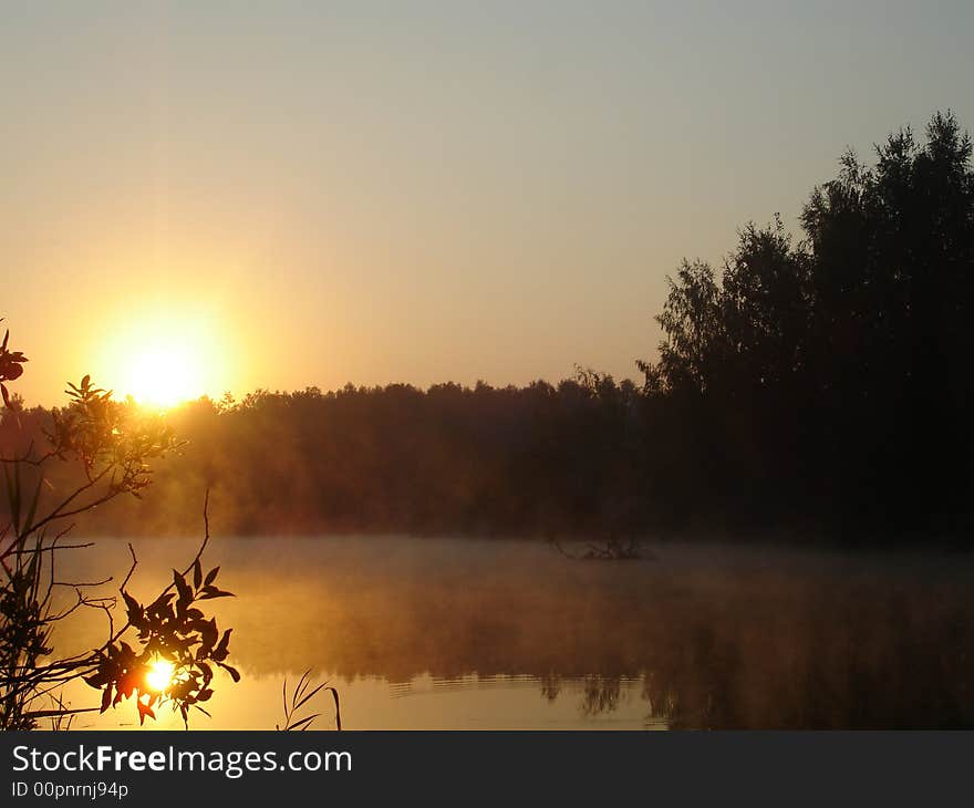 Sun and fog