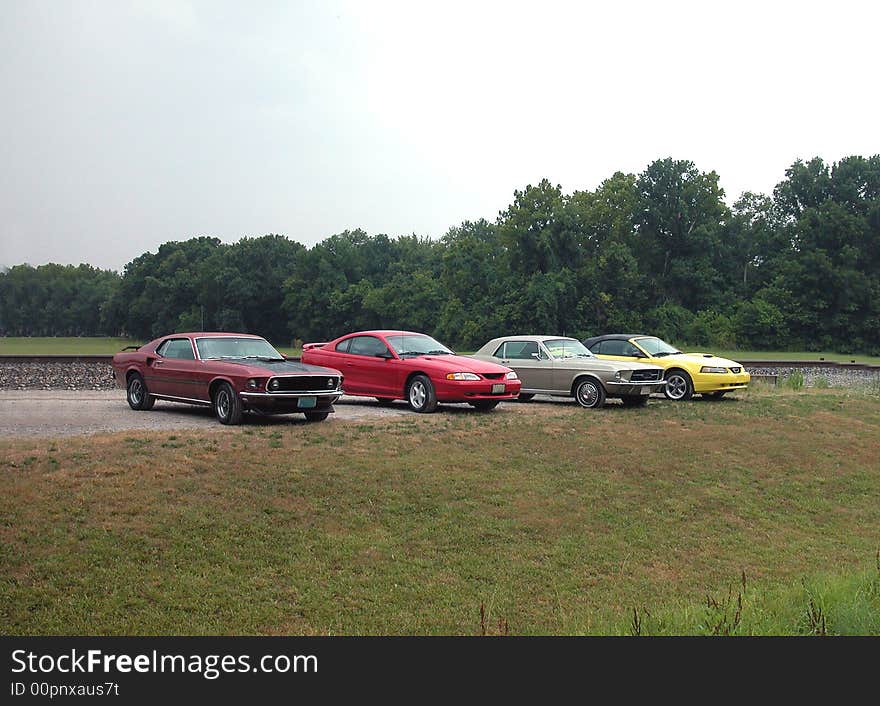 Row Of Vintage Mustangs