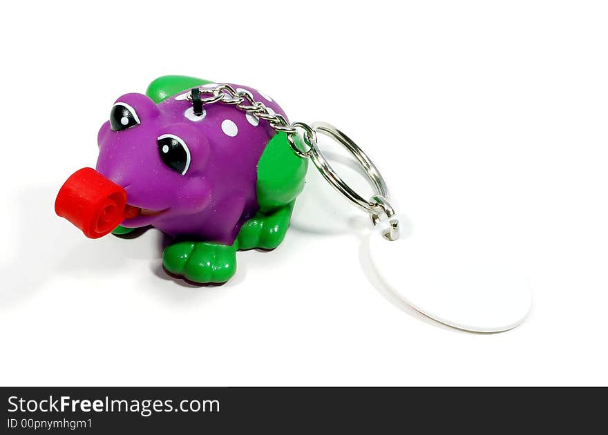 A key chain with a colorful frog attached. A key chain with a colorful frog attached