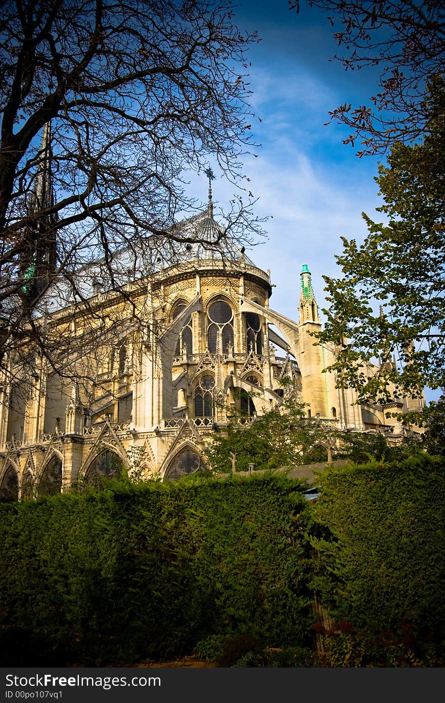 Notre Dame Back View