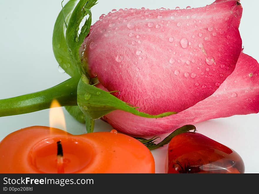 Love symbols. Flower and hearts on white background. Love symbols. Flower and hearts on white background