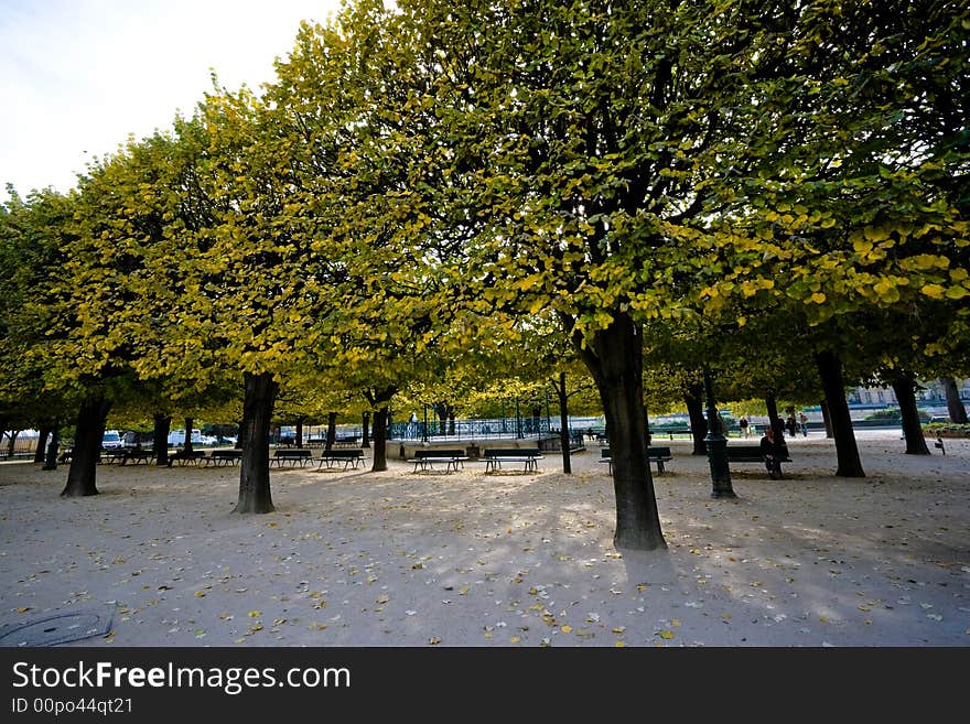 Wide angle view of park trees in autumn. Paris, France.