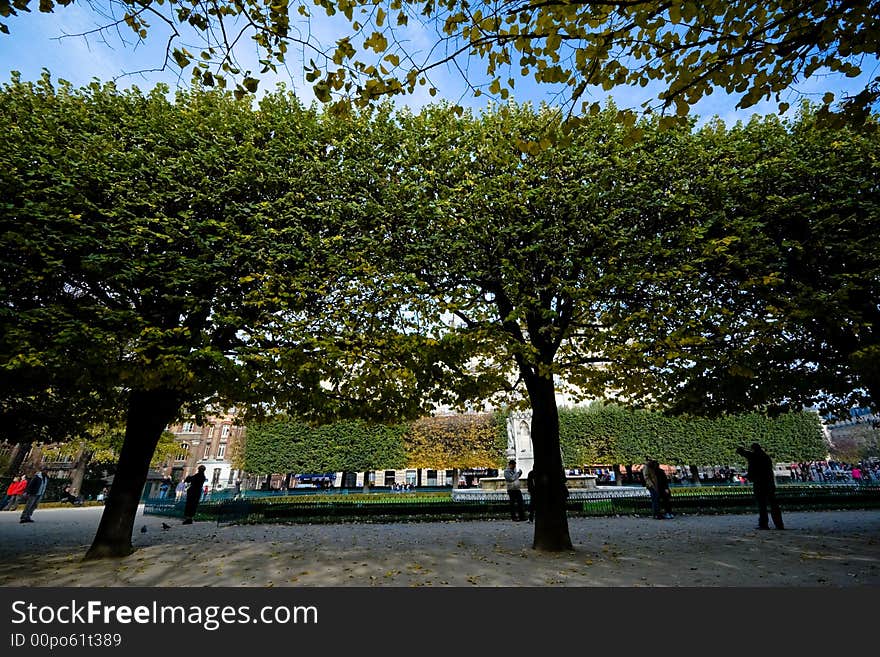 Park trees