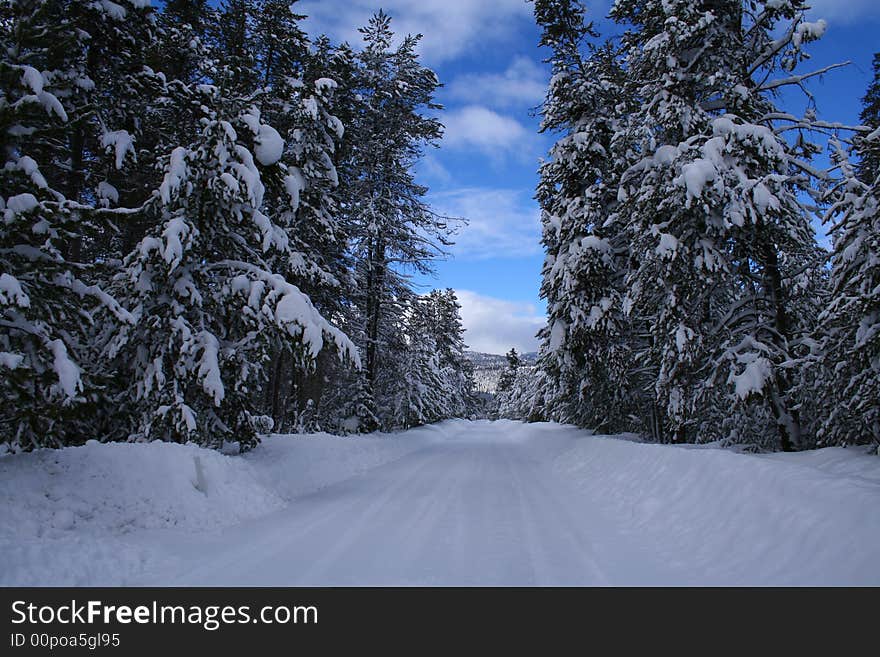 Rural county road in Valley County Idaho, winter. Rural county road in Valley County Idaho, winter