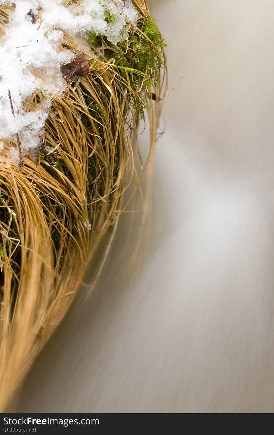 Snow, dry grass and stram river. Snow, dry grass and stram river