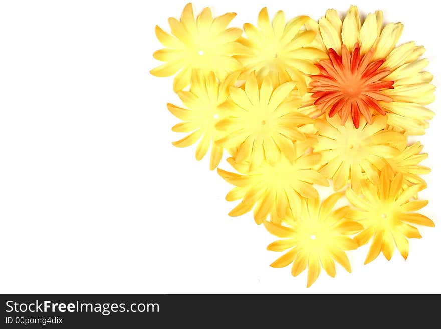 An orange flower with yellow flowers as a corner isolated. An orange flower with yellow flowers as a corner isolated