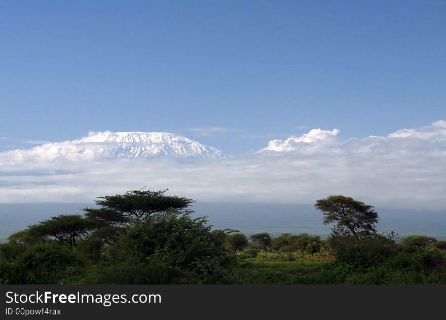 The peak of Kilimanjaro - Kenya