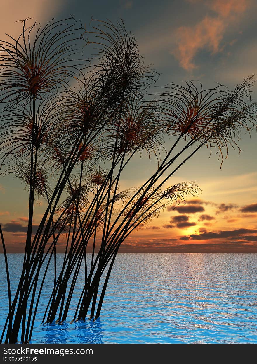 Water plants on a sea sunset background - 3D scene. Water plants on a sea sunset background - 3D scene.