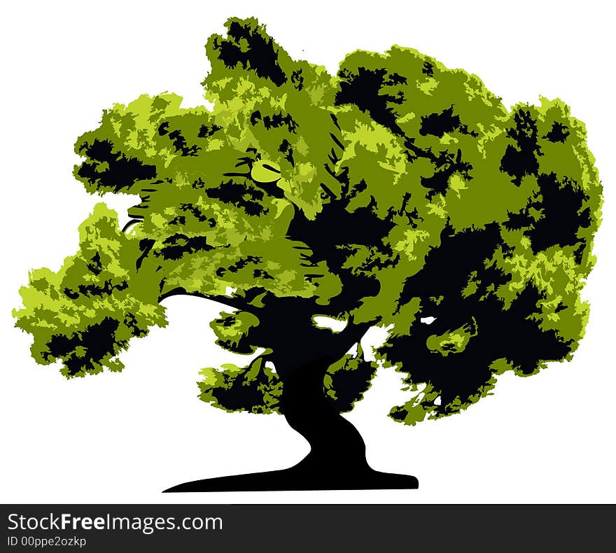 Tree  isolated