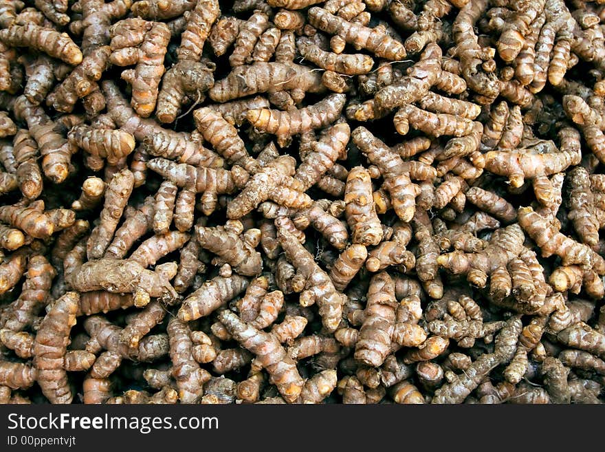 Freshly harvested turmeric