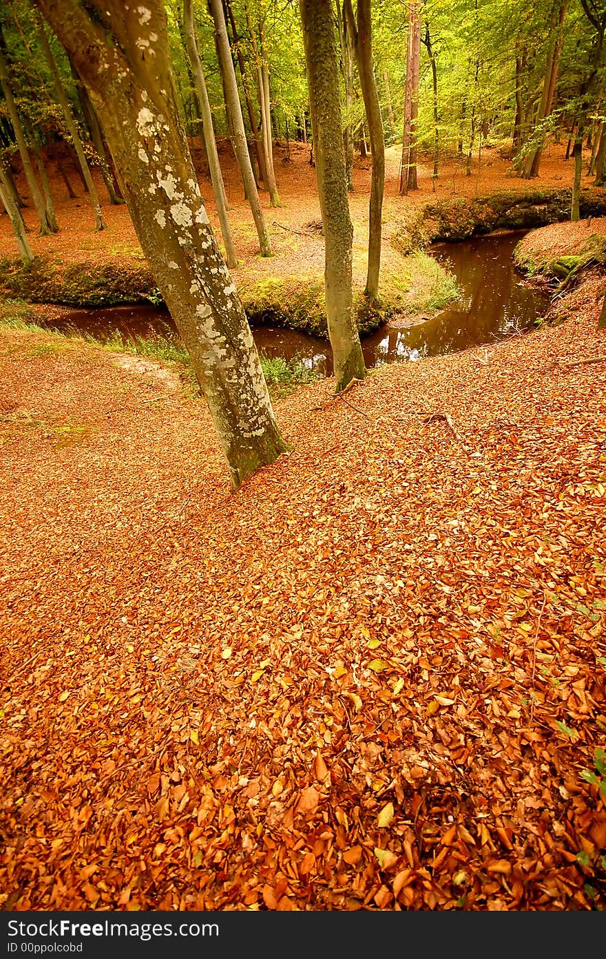 Beautiful clean autumn park with bright colours and many leaves. Beautiful clean autumn park with bright colours and many leaves