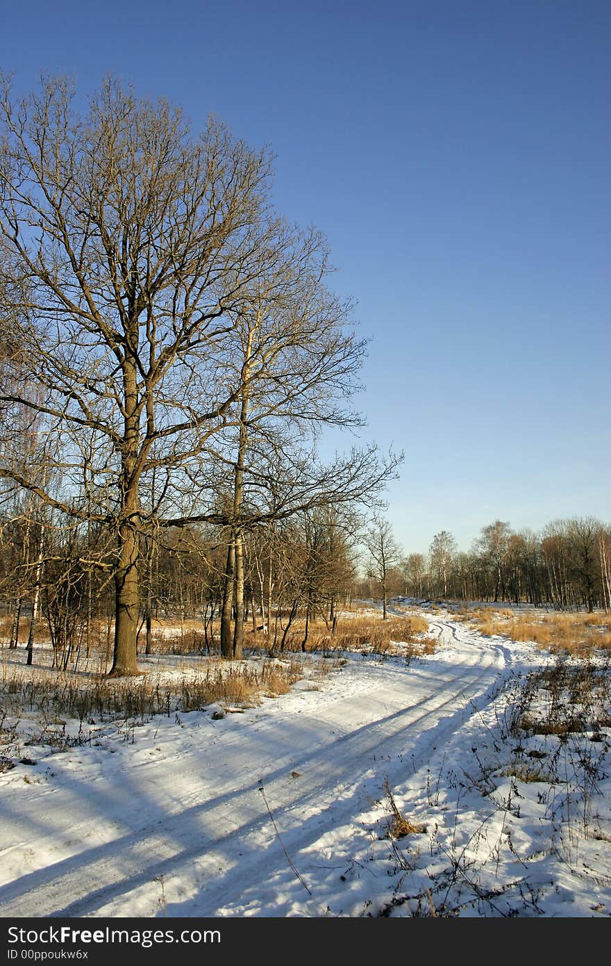 Winter snow landscape with sinuous expensive. Winter snow landscape with sinuous expensive