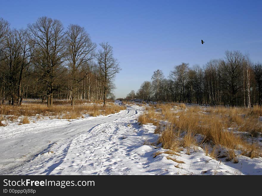 Winter snow landscape with curves road in Russia. Winter snow landscape with curves road in Russia.