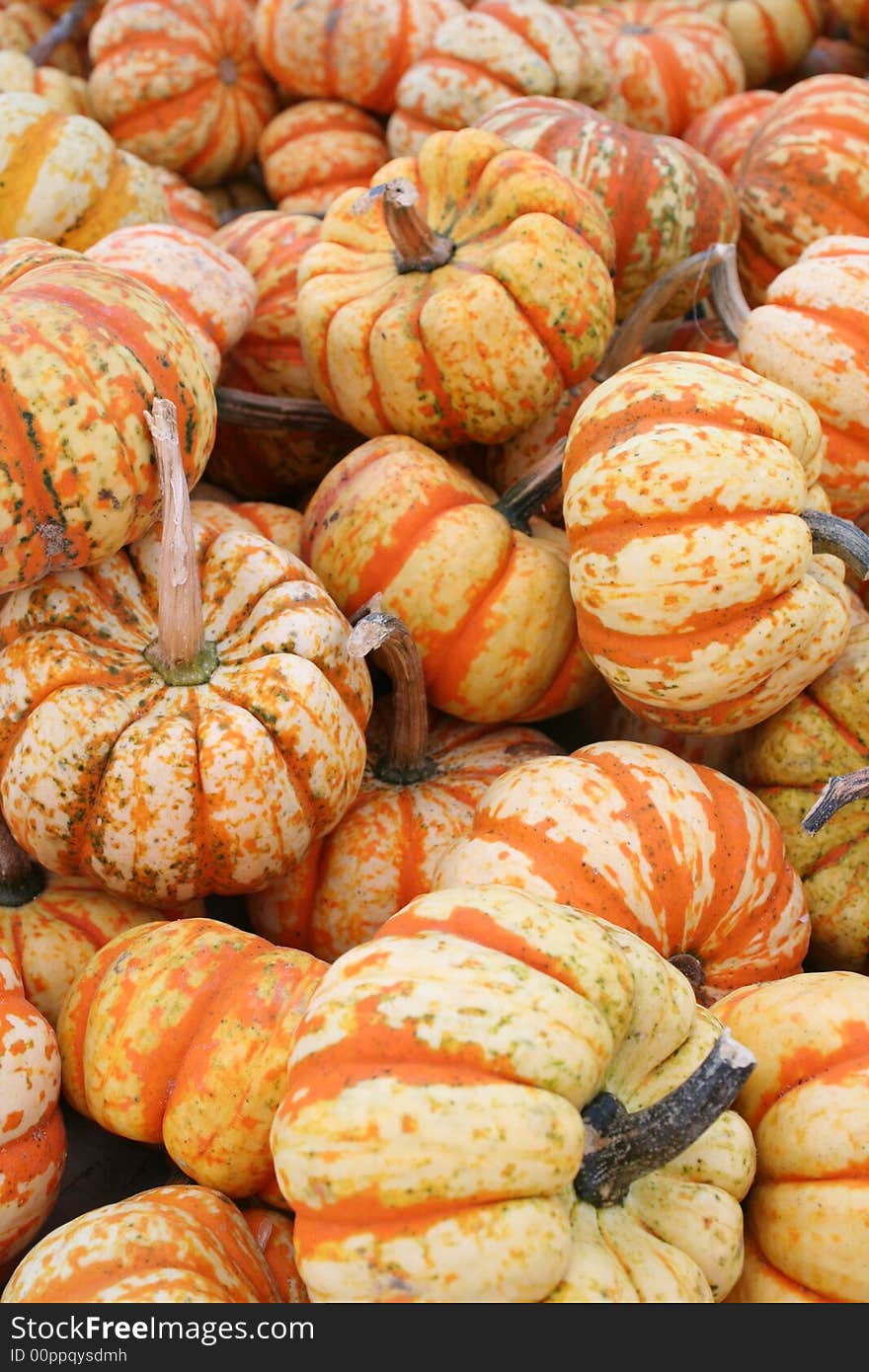 Big heap of harvested pumpkins for the fall season. Big heap of harvested pumpkins for the fall season.