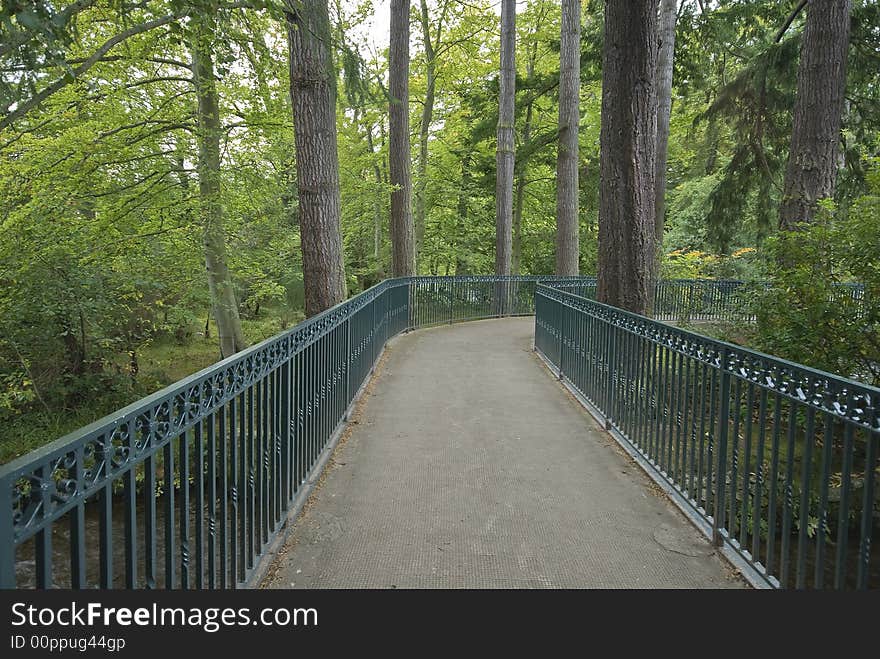 Bridge in the Forest