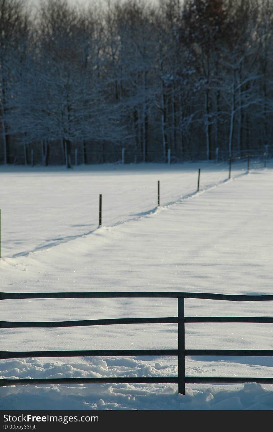 Fence and forest at winter time