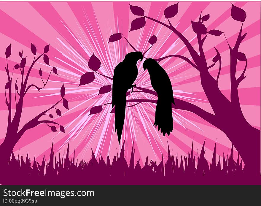 Love couple birds on pink background. Love couple birds on pink background