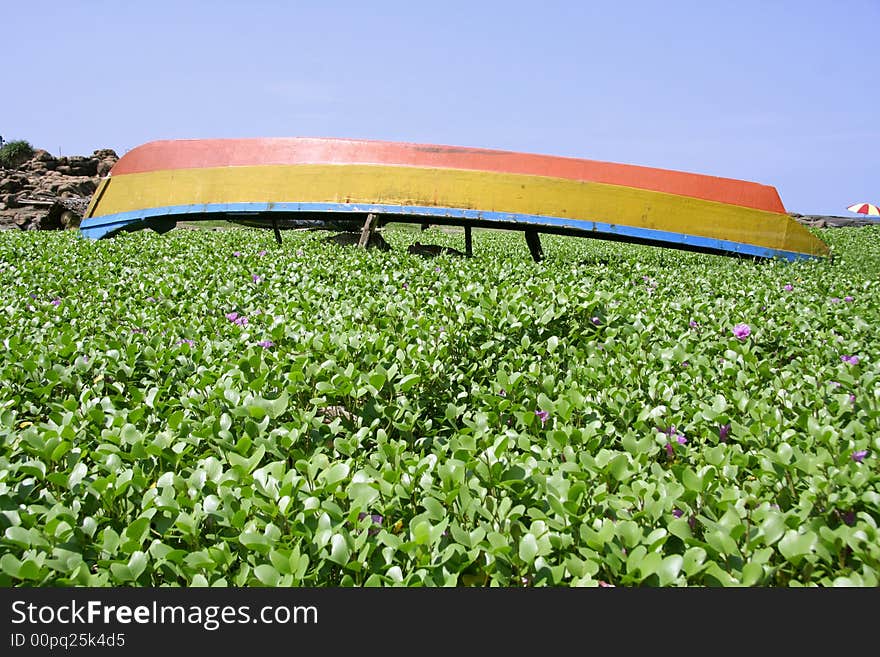 Boat lying upside down in garden