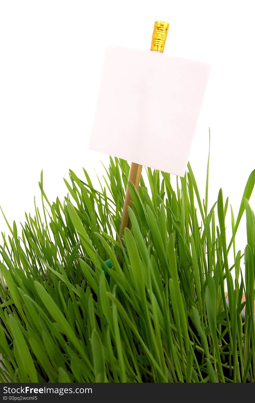 Grass with a sheet for the information