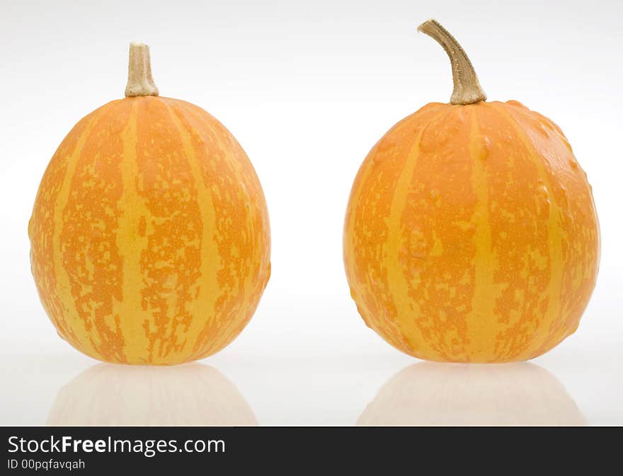 Two pumpkins on white background