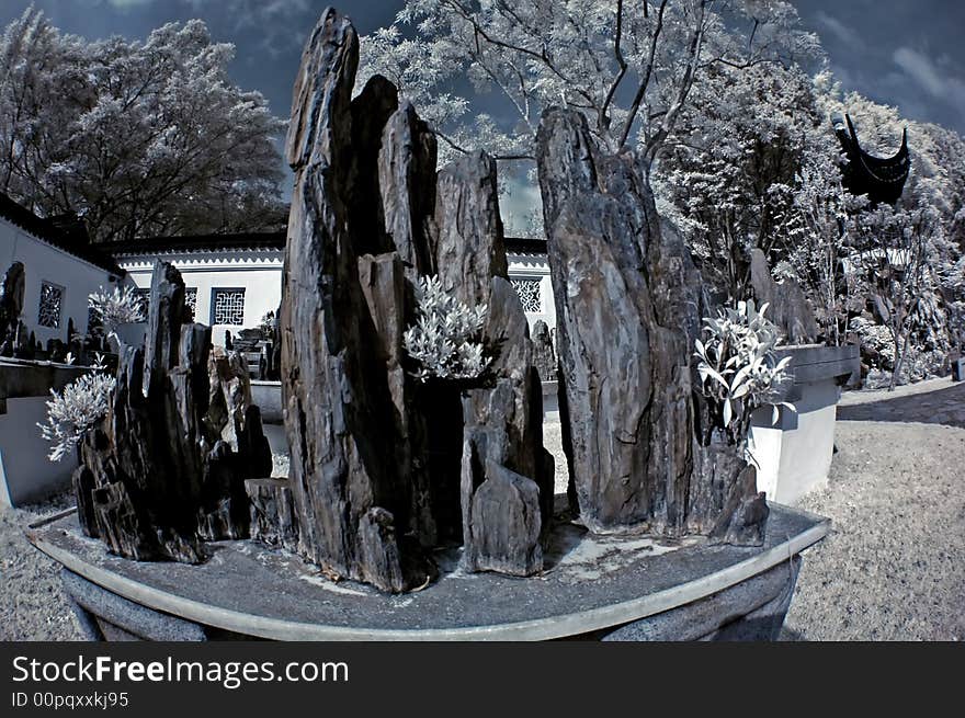 Infrared photo - pot plant and rock