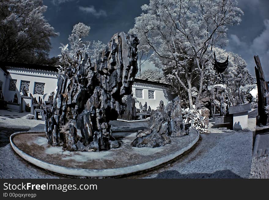 Infrared Photo - Pot Plant And Rock