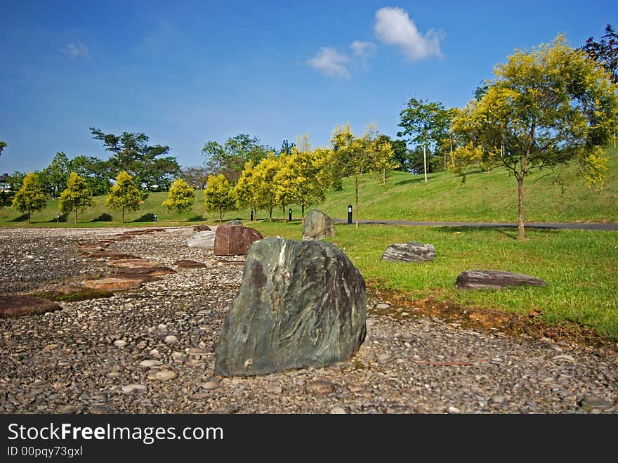 Tree, rock and landscape in the parks