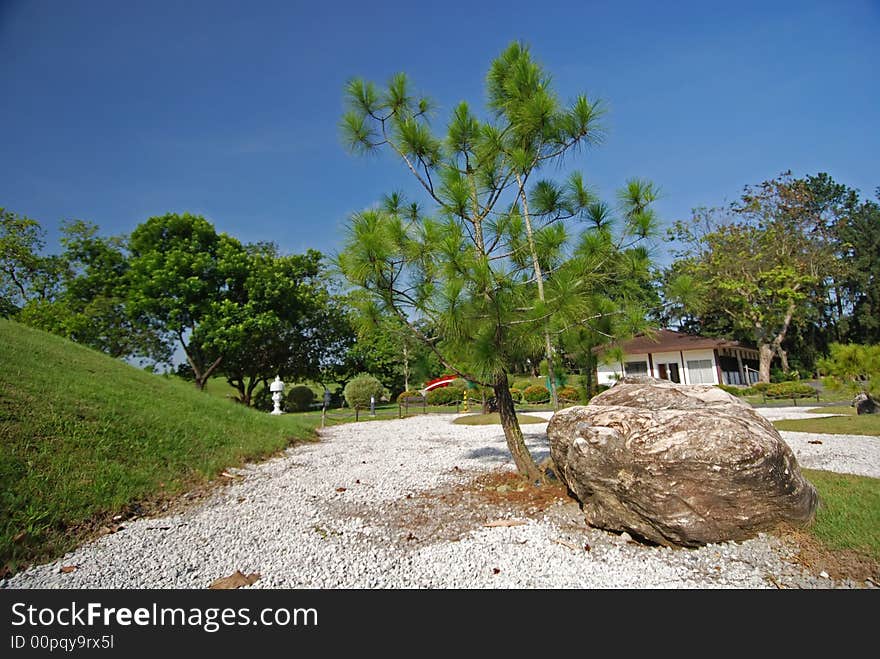 House, Rock And Tree In The Park