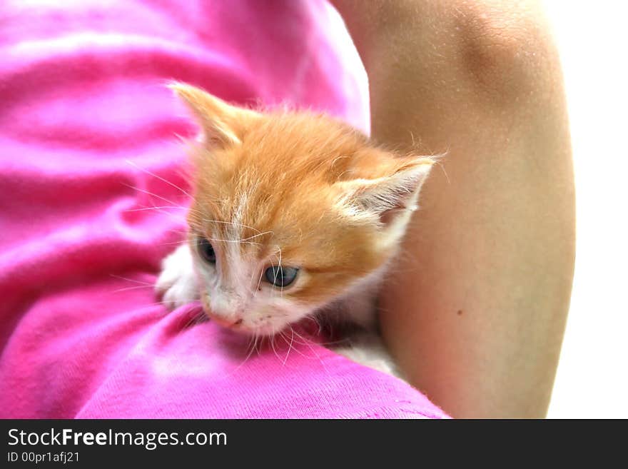 Nice little kitten on the girl's back.