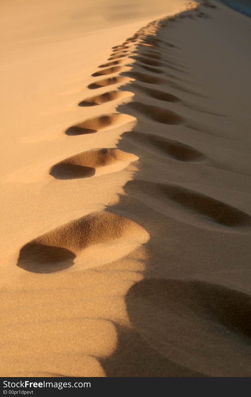 Footprints in the Sand