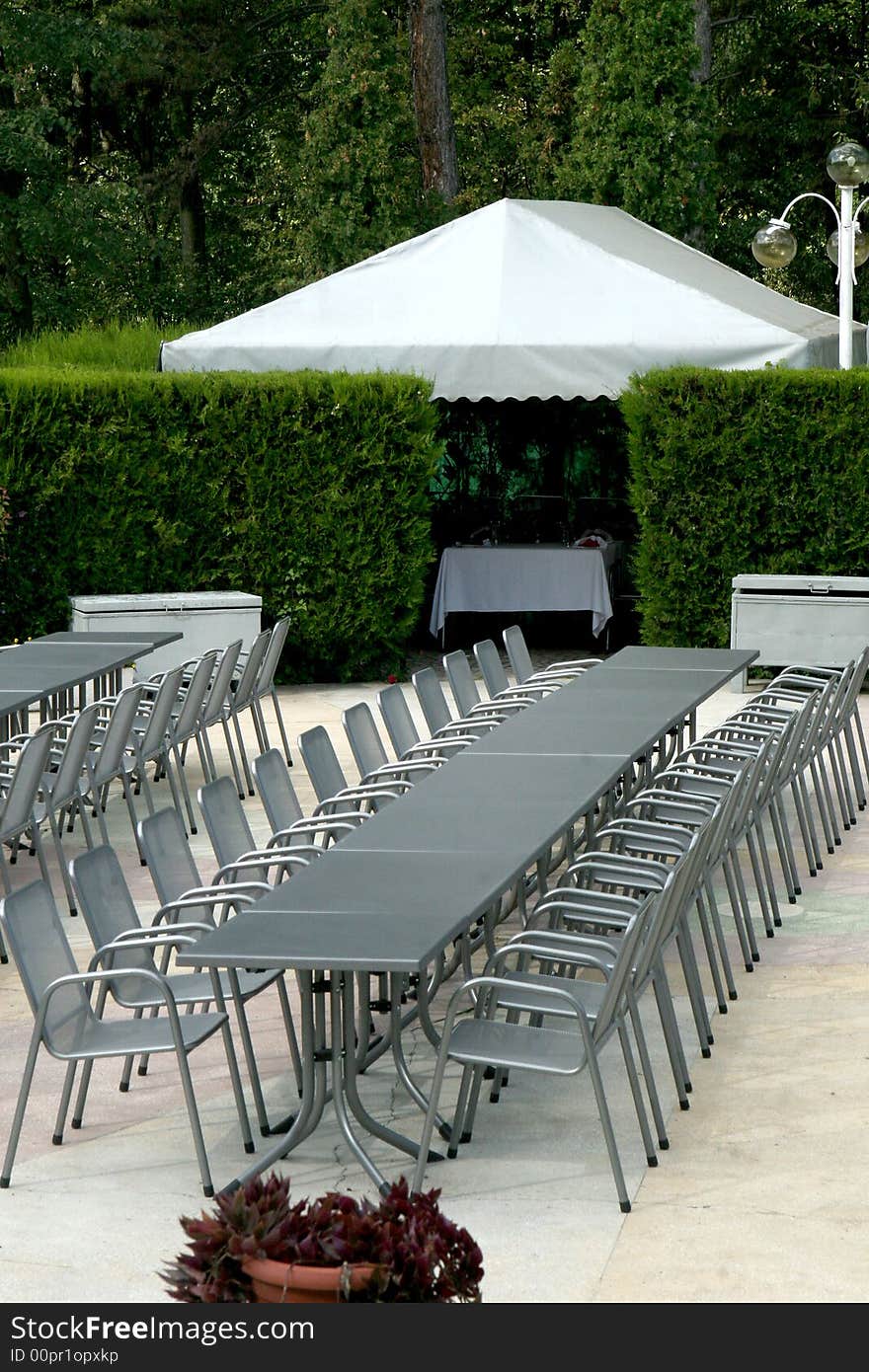 Many chairs and a table, in line