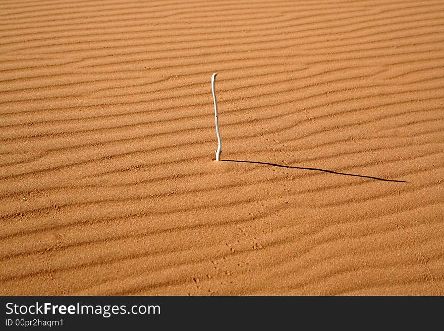 Natural sundial in the desert sand. Natural sundial in the desert sand