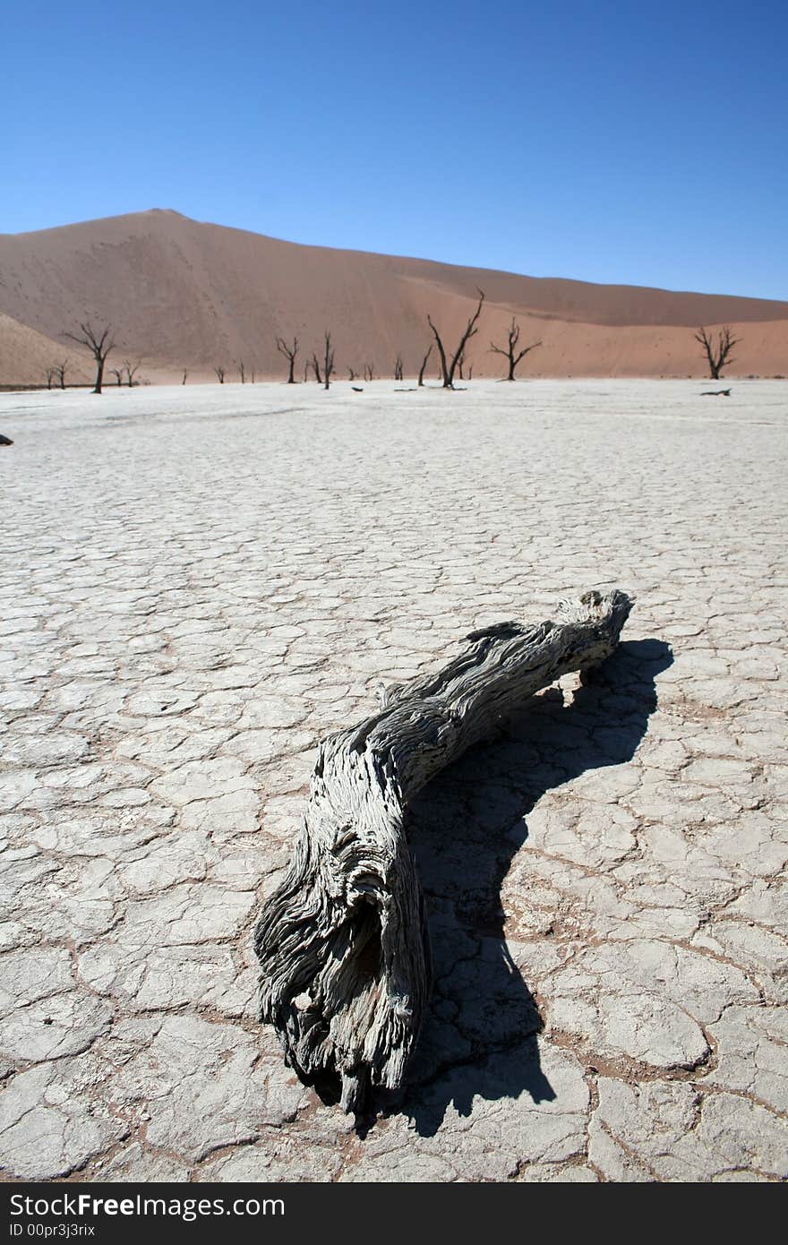 Death In The Namib Desert