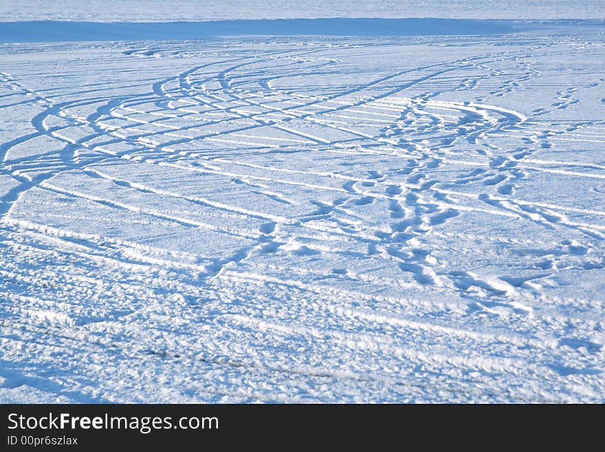 Tracks in snow