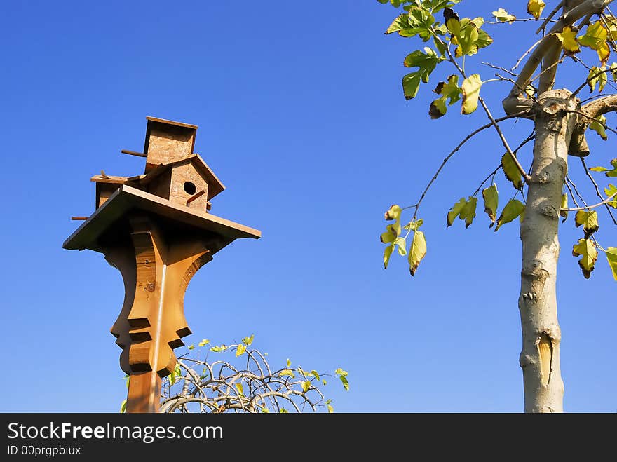 A birdhouse near a little tree