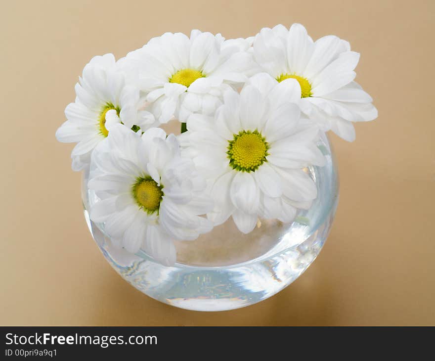 A bouquet of daisies in glass vase