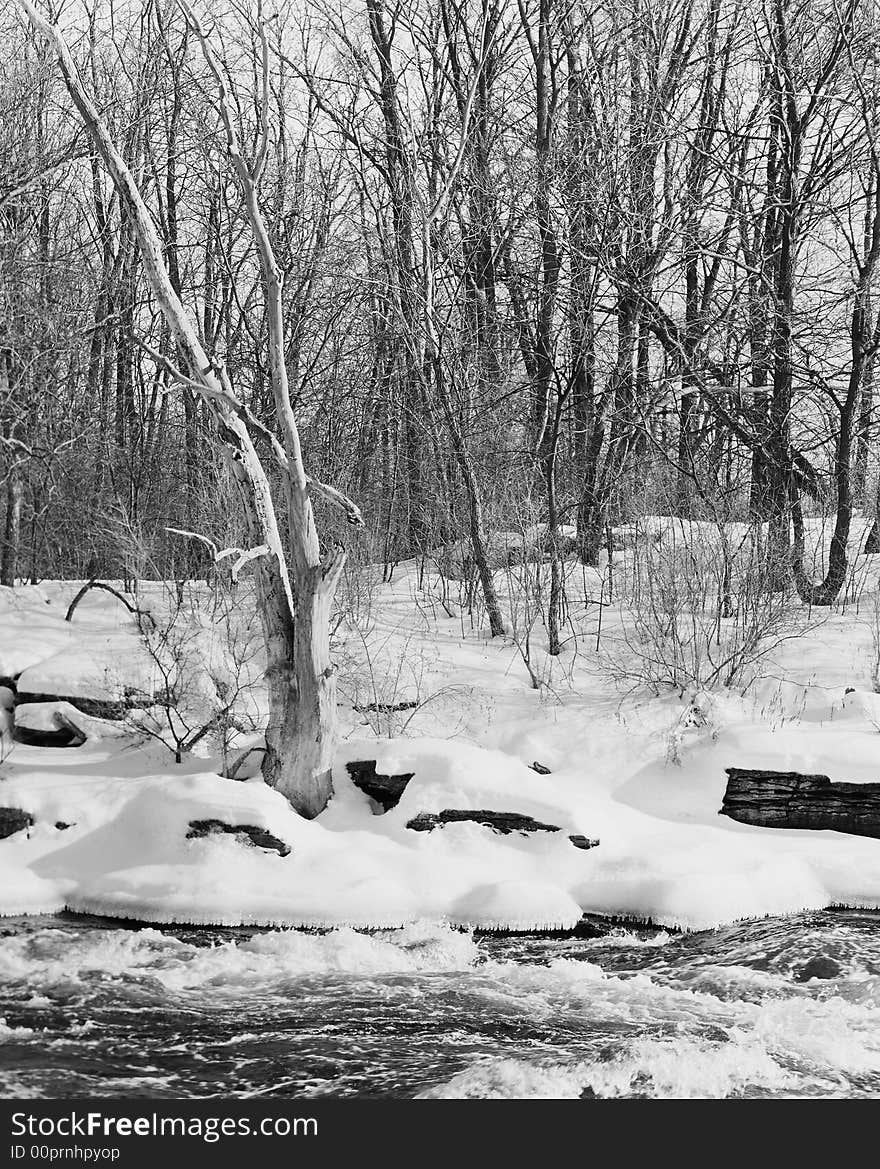 Barren winter forest, snow, and icy riverbank. 6x7 drum scan. Barren winter forest, snow, and icy riverbank. 6x7 drum scan.