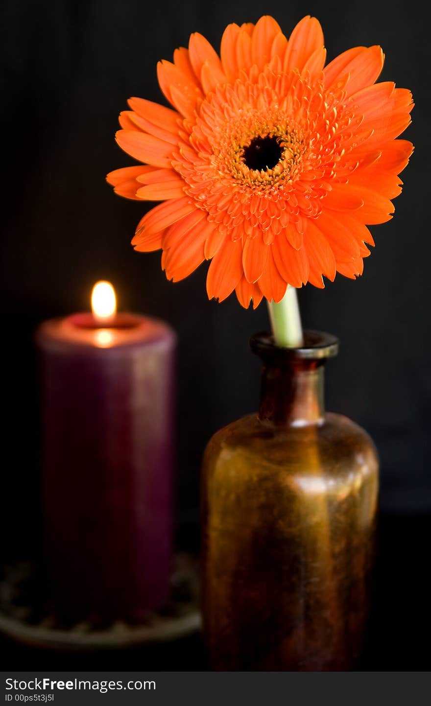 Berber Daisy And Candle