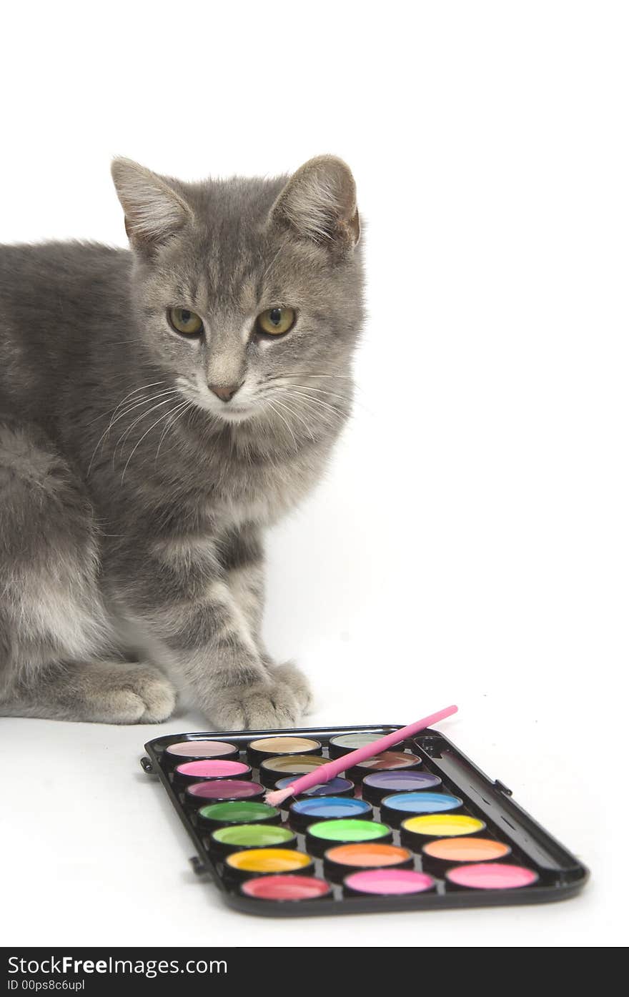 Kitten sitting next to a set of paints on white background. Kitten sitting next to a set of paints on white background