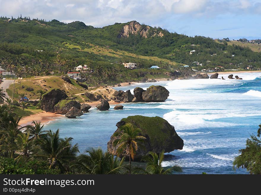 Over looking a tropical beach on the island of barbados. Over looking a tropical beach on the island of barbados