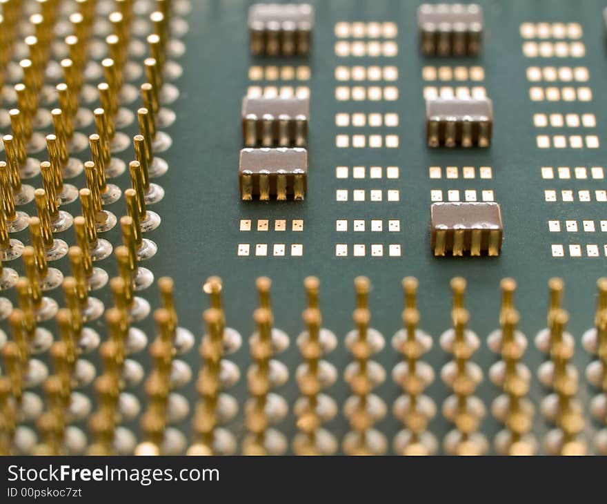 Processor with golden pins closeup. shallow dof. Processor with golden pins closeup. shallow dof