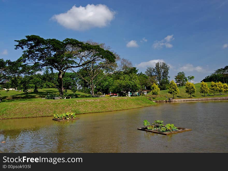 Lake, sky and tree in the park