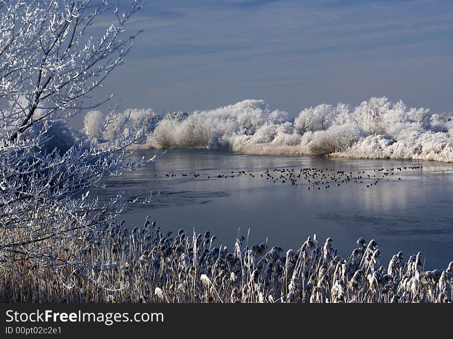 Winter landscape