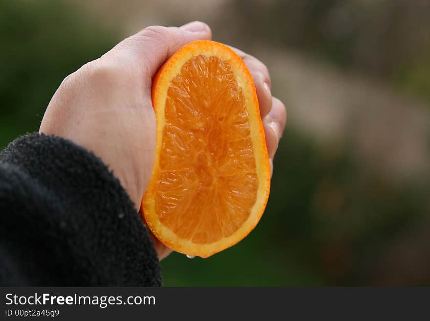 An orange slice held in a hand. An orange slice held in a hand