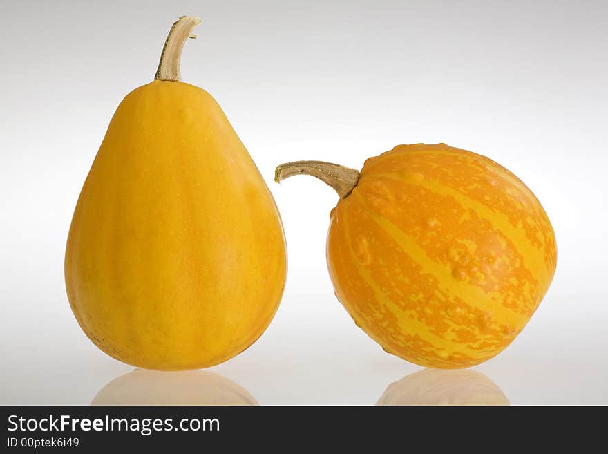 Two pumpkin on white background