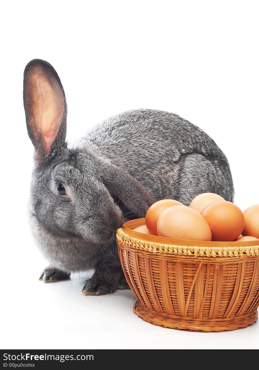 Rabbit near to basket with eggs isolated on white. Rabbit near to basket with eggs isolated on white