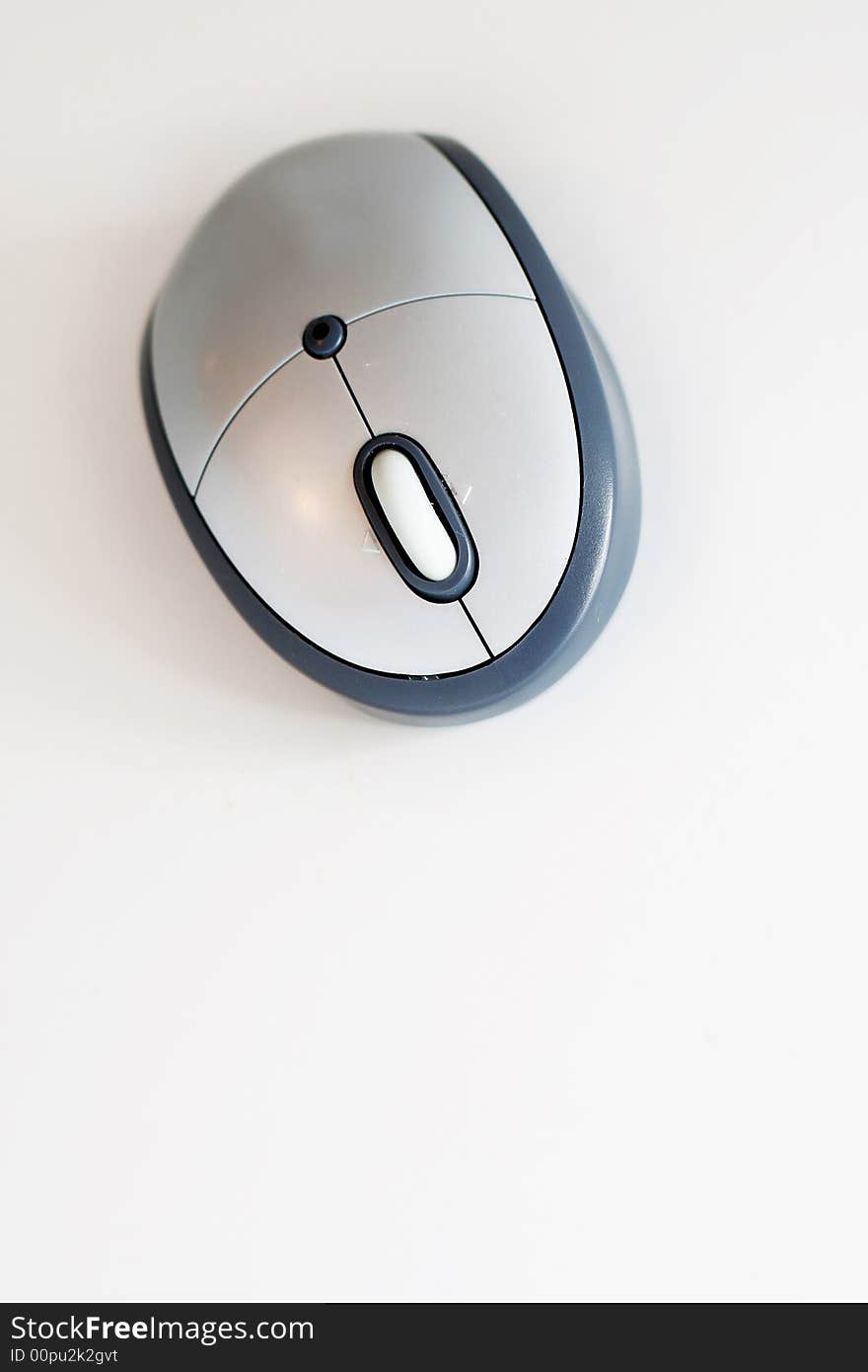 Computer Mouse