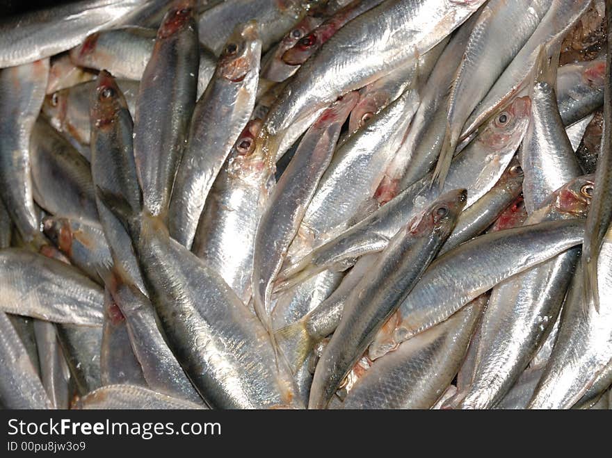 Uncooked sprats at fishmonger